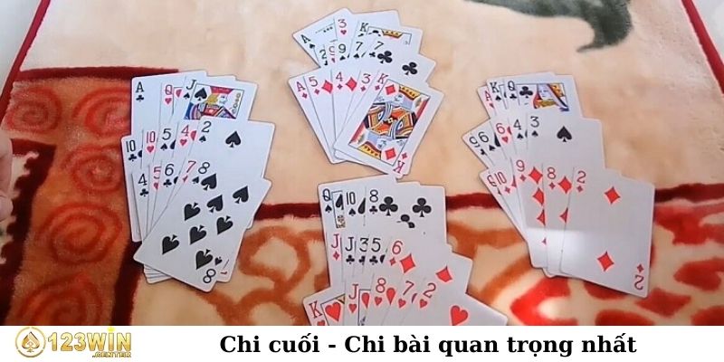 Chi cuối - Chibài quan trọng nhất