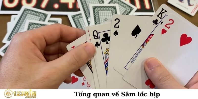 Tổng quan về Sâm lốc bịp